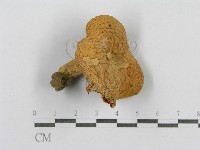 登錄號:F0009681藏品圖，第3張