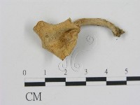 登錄號:F0009685藏品圖，第3張