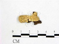 登錄號:F0009686藏品圖，第1張