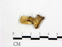 登錄號:F0009686藏品圖，第3張