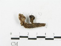 登錄號:F0009688藏品圖，第3張