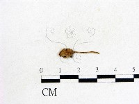 登錄號:F0009689藏品圖，第1張