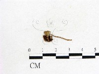 登錄號:F0009689藏品圖，第3張