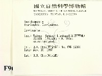 鬼傘屬藏品圖，第2張