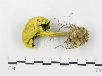 登錄號:F0009691藏品圖，第3張