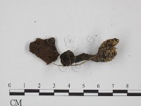 登錄號:F0009692藏品圖，第3張