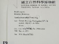 登錄號:F0009693藏品圖，第2張