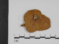 登錄號:F0009693藏品圖，第1張