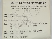 登錄號:F0009694藏品圖，第2張