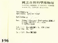 登錄號:F0009695藏品圖，第2張