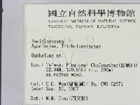 登錄號:F0009698藏品圖，第2張