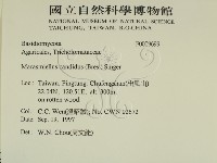 登錄號:F0009699藏品圖，第2張