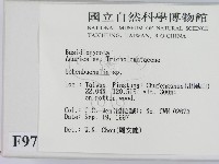 登錄號:F0009700藏品圖，第2張