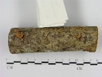 登錄號:F0009700藏品圖，第1張
