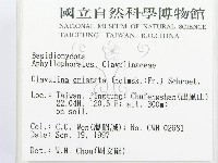 登錄號:F0009703藏品圖，第2張