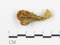 登錄號:F0009703藏品圖，第1張