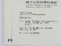濕傘屬藏品圖，第2張