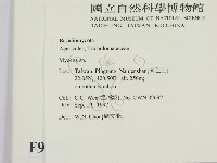 小菇屬藏品圖，第2張