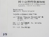 登錄號:F0009711藏品圖，第2張