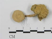 登錄號:F0009711藏品圖，第3張