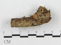 登錄號:F0009712藏品圖，第3張