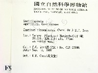 登錄號:F0009713藏品圖，第2張