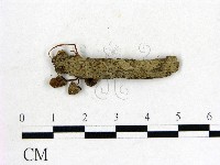 登錄號:F0009713藏品圖，第3張