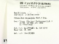 登錄號:F0009716藏品圖，第2張