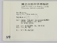 小皮傘屬藏品圖，第2張