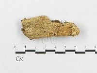 登錄號:F0009721藏品圖，第1張