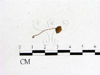 登錄號:F0009722藏品圖，第1張