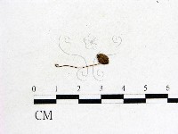 登錄號:F0009722藏品圖，第3張