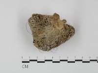 登錄號:F0009724藏品圖，第1張