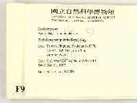 登錄號:F0009725藏品圖，第2張