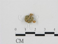 登錄號:F0009730藏品圖，第1張