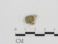 登錄號:F0009730藏品圖，第3張