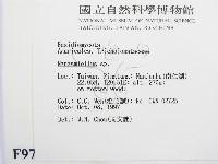 微皮傘屬藏品圖，第2張