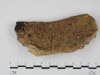 登錄號:F0009732藏品圖，第1張