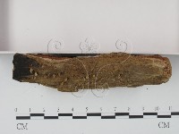 登錄號:F0009732藏品圖，第3張