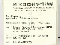 登錄號:F0009734藏品圖，第2張