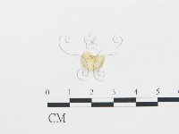 登錄號:F0009735藏品圖，第3張