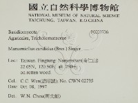 登錄號:F0009736藏品圖，第2張