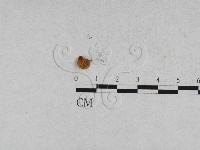 登錄號:F0009736藏品圖，第3張