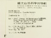 登錄號:F0009739藏品圖，第2張