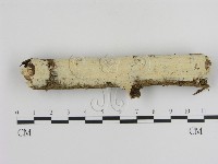 登錄號:F0009739藏品圖，第1張