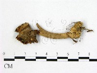 登錄號:F0009740藏品圖，第3張