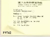 粉褶菌屬藏品圖，第2張