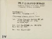登錄號:F0009744藏品圖，第2張