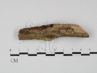 登錄號:F0009744藏品圖，第1張