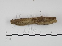 登錄號:F0009744藏品圖，第3張